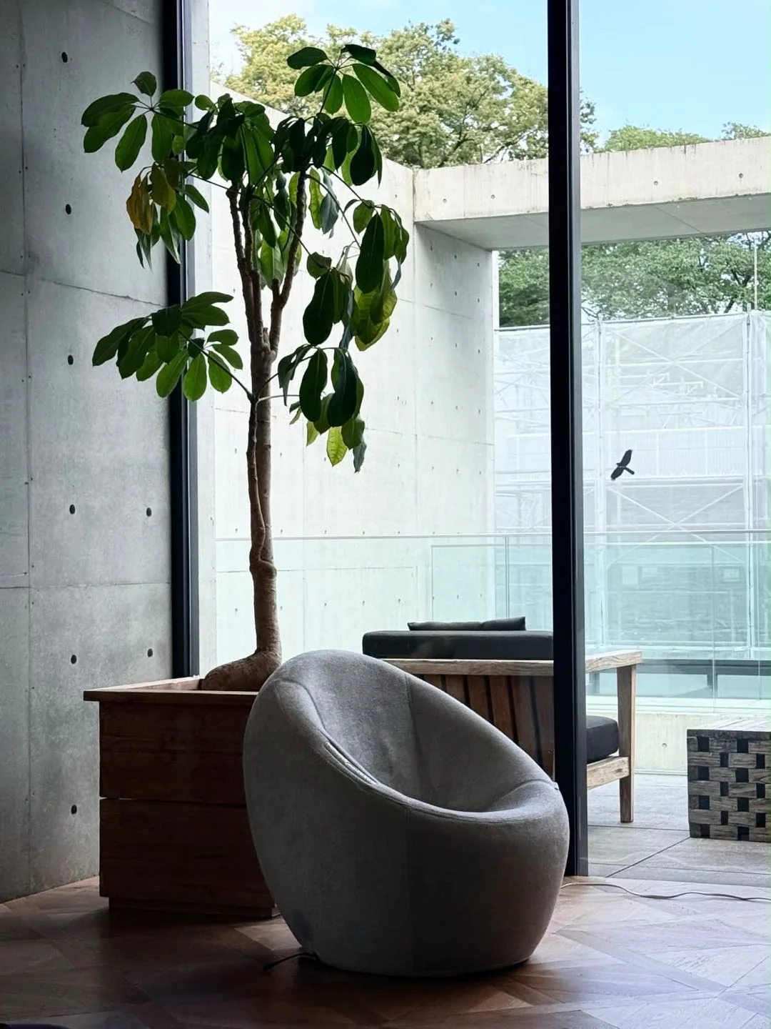 会場に展示されたLC EGG(仮配置)